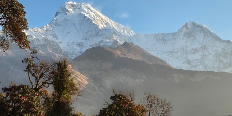 Ghorepani Poon Hill Trek